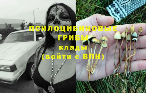 крисы Арсеньев