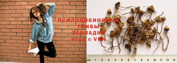 mdma Нязепетровск