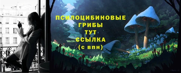крисы Арсеньев